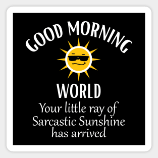 Good Morning World Your Little Ray of Sarcastic Sunshine Magnet